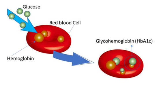 Epidemiology